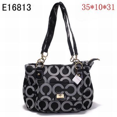 Coach handbags489